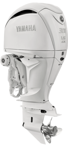 F300V-dp